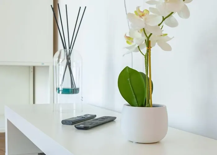 Le Louis Blanc - Hypercentre - 100m Suquet - Ac アパート カンヌ