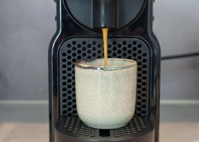 Le Louis Blanc - Hypercentre - 100m Suquet - Ac * カンヌ