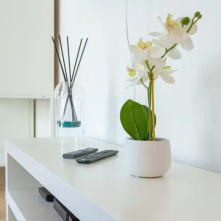 Apartment Le Louis Blanc - Hypercentre - 100m Suquet - Ac