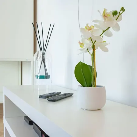 Le Louis Blanc - Hypercentre - 100m Suquet - Ac Apartment Cannes